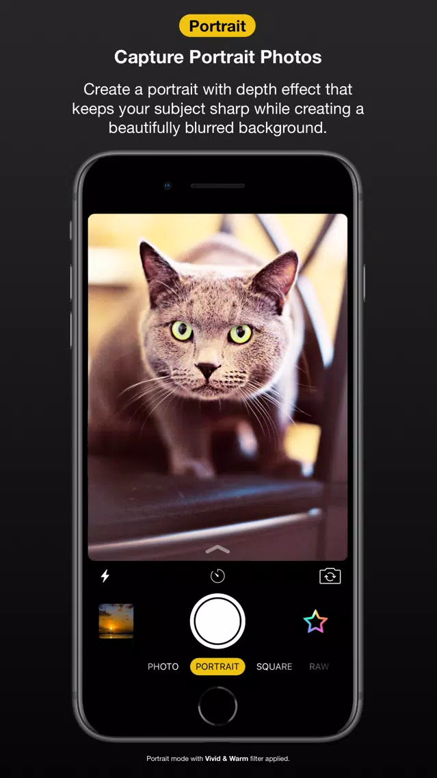 صور HayCamera 2