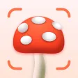 Mushroom Identifier: Fungi ID. Mushroom Identifier: Fungi ID.