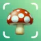 Mushroom Identifier & Fungi ID