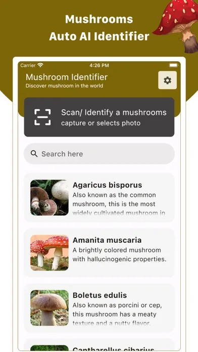 Mushroom ID : Identifier, Scan Ekran Görüntüleri