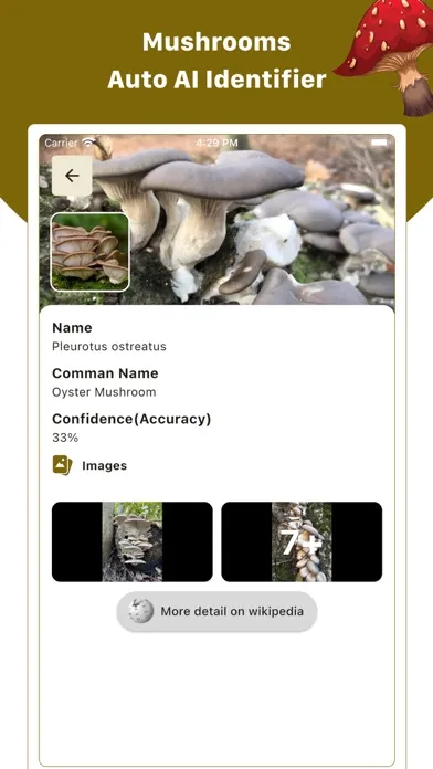 Mushroom ID : Identifier, Scan Ekran Görüntüleri