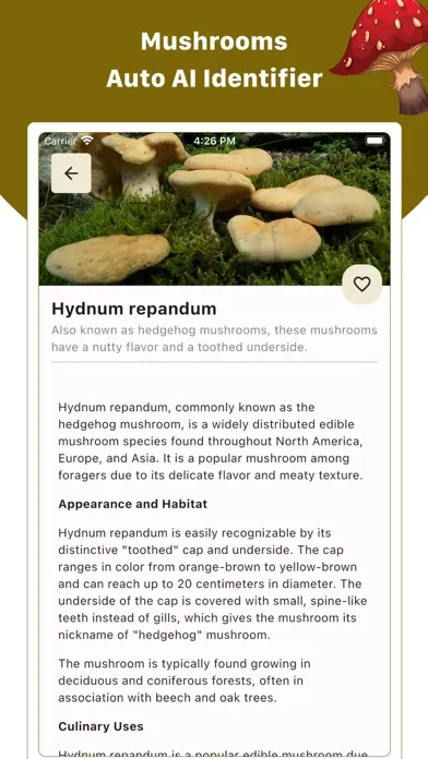 Mushroom ID : Identifier, Scan Ekran Görüntüleri