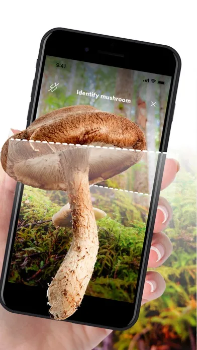 Capturas de pantalla de Mushroom ID: AI Identification