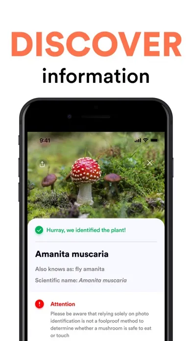 Capturas de pantalla de Mushroom ID: AI Identification