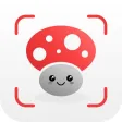 AI Mushroom Identifier App AI Mushroom Identifier App