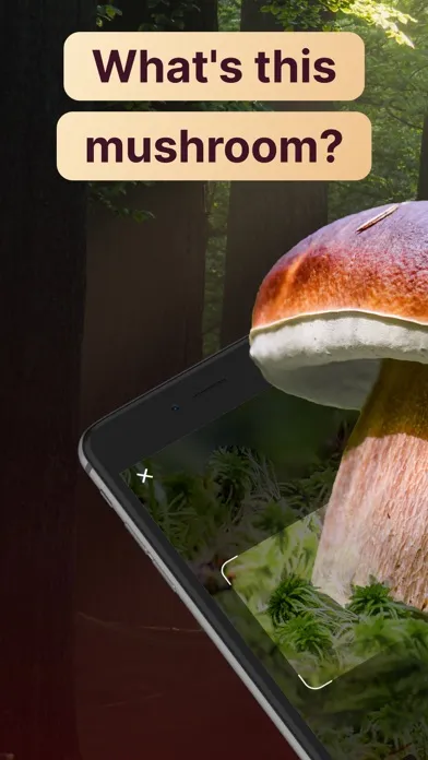 AI Mushroom Identifier App Ekran Görüntüleri
