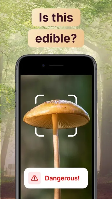 AI Mushroom Identifier App Ekran Görüntüleri