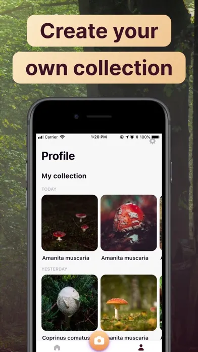 AI Mushroom Identifier App Ekran Görüntüleri