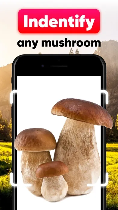 Скриншоты Mushroom ID - Identification