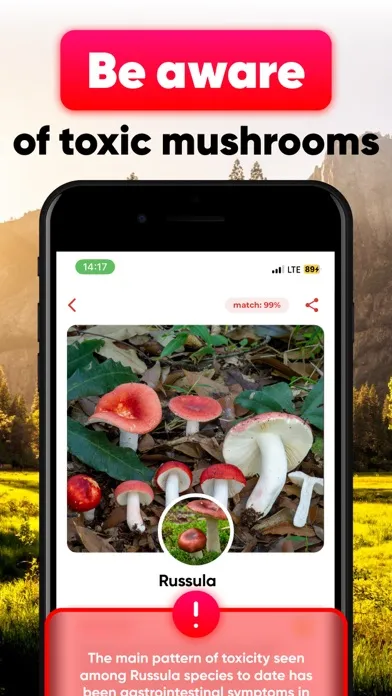 Скриншоты Mushroom ID - Identification