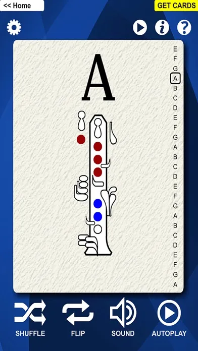 Capturas de pantalla de Music Instruments Flash Cards