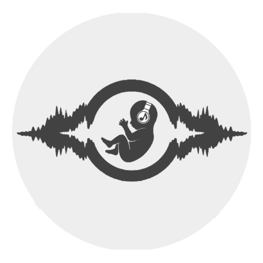 Music Shield - calls blocker
