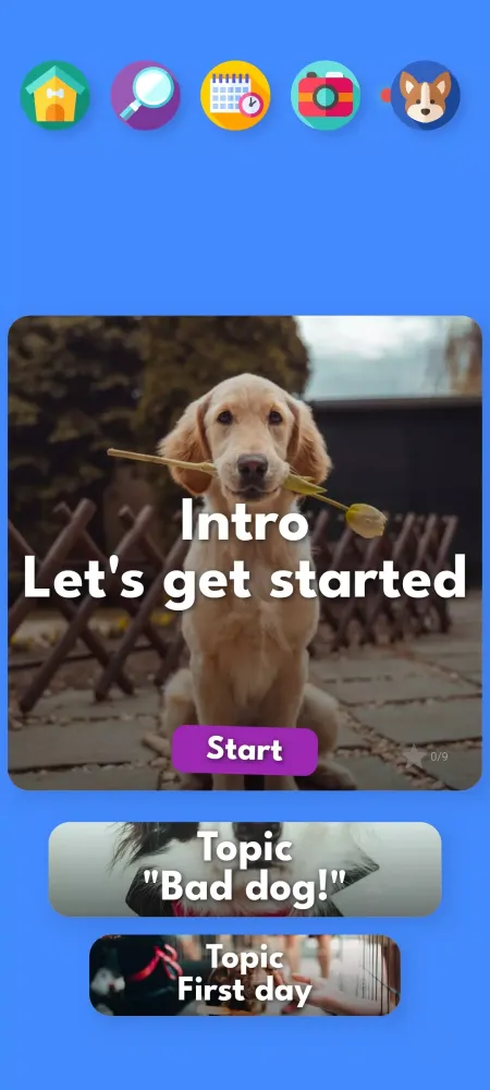 Captures d'écran de Pocket Puppy School