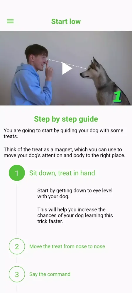 Captures d'écran de Pocket Puppy School
