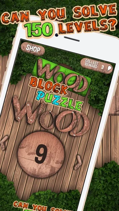 Wood Block Puzzle - Best Brick Match.ing Game स्क्रीनशॉट