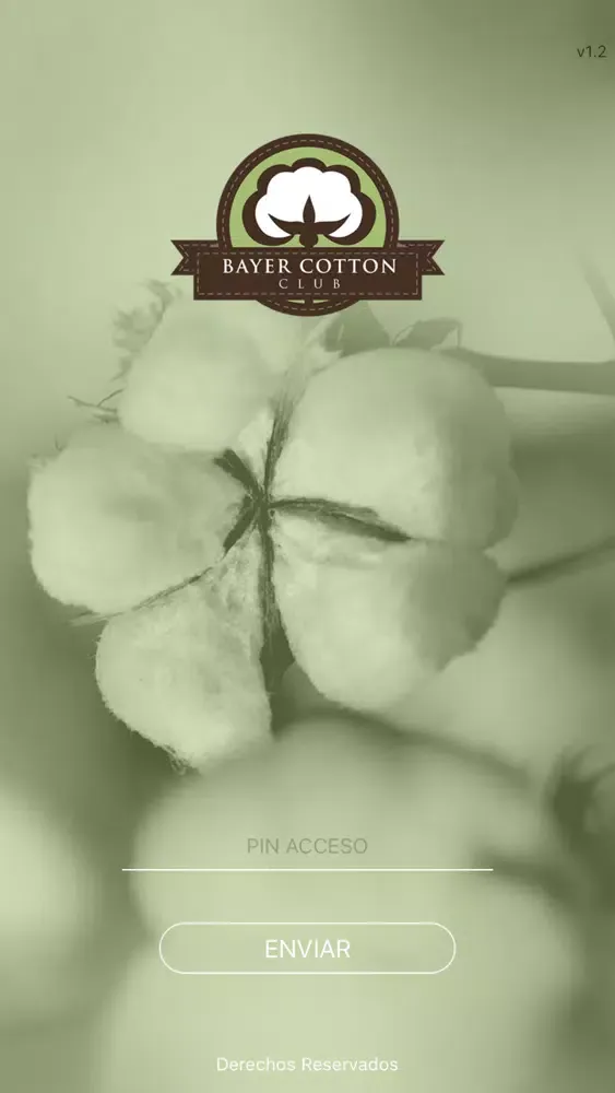 Cotton Club Screenshots