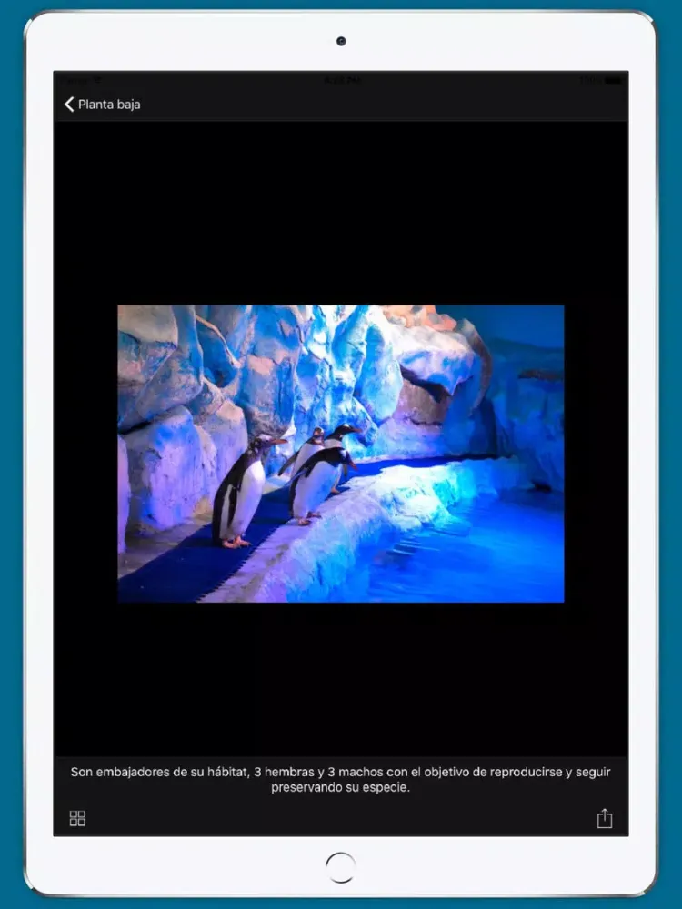 Acuario Inbursa iPad  Screenshots