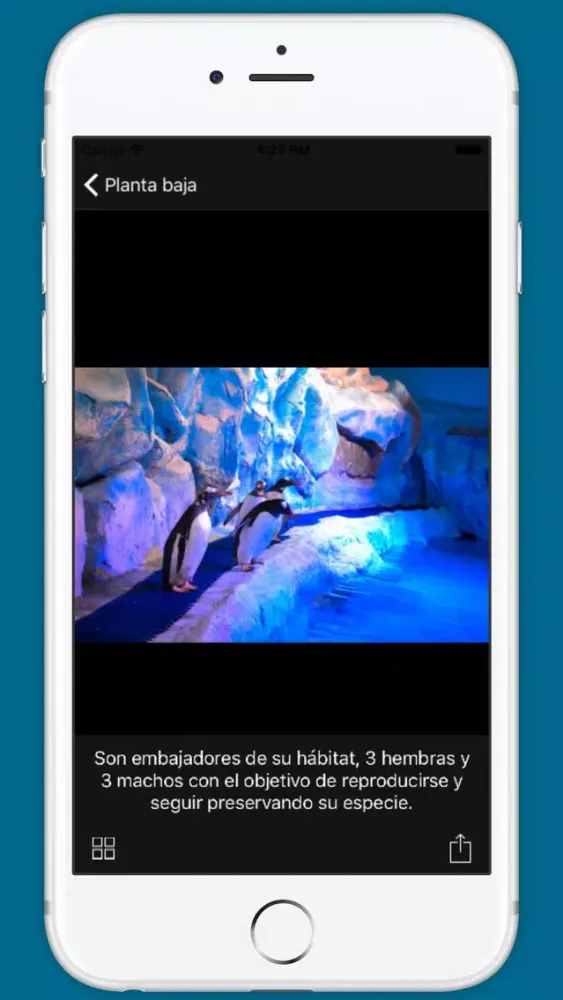 Acuario Inbursa Screenshots