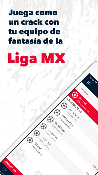 صور Mi Fantasy - Fútbol Virtual
