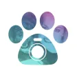 Petcam - Pet Camera Petcam - Pet Camera
