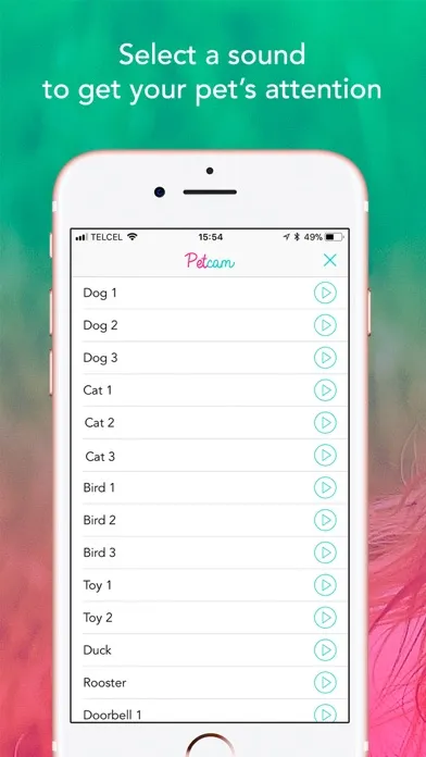 ภาพหน้าจอของ Petcam - Pet Camera