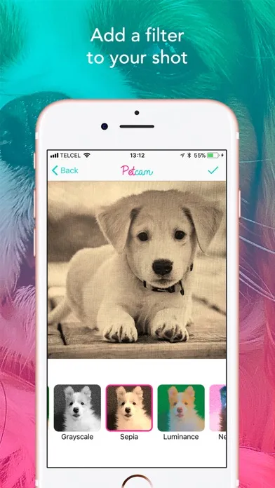 ภาพหน้าจอของ Petcam - Pet Camera