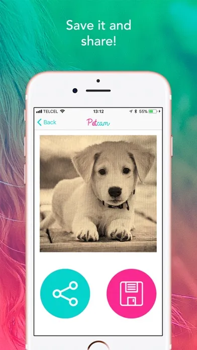 ภาพหน้าจอของ Petcam - Pet Camera