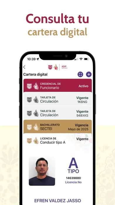 App CDMX應用截圖