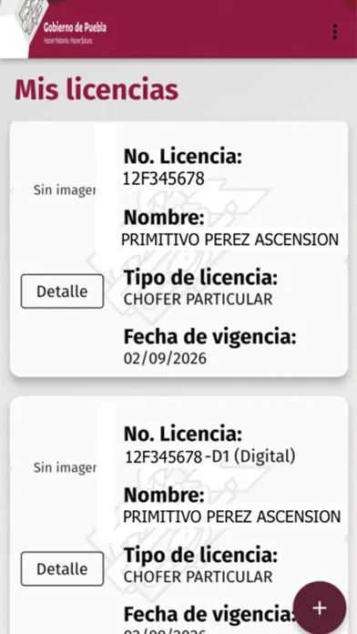 Licencia Digital Puebla سکرین شاٹس