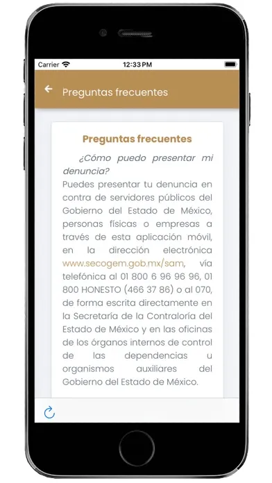 Denuncia EDOMEX应用截图