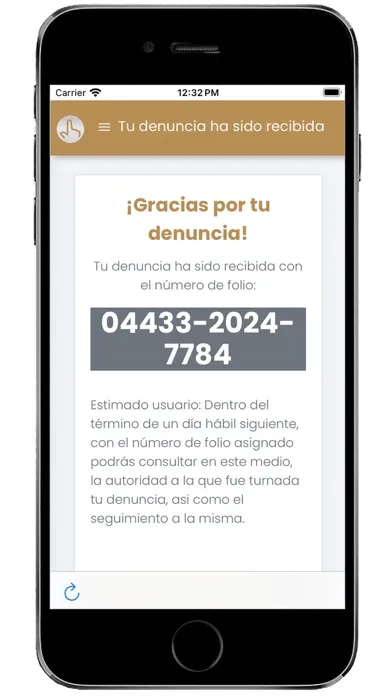 Denuncia EDOMEX应用截图