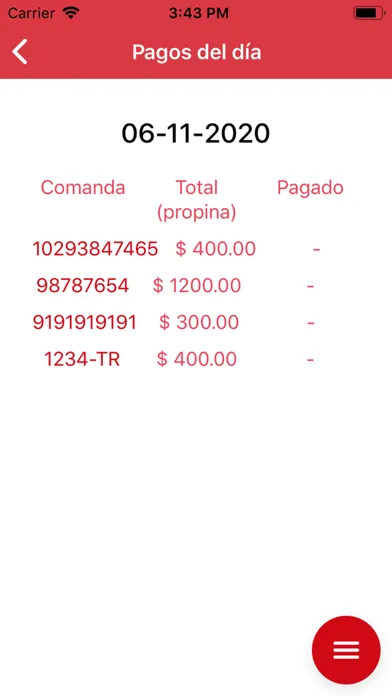 Pago Ágil Ekran Görüntüleri