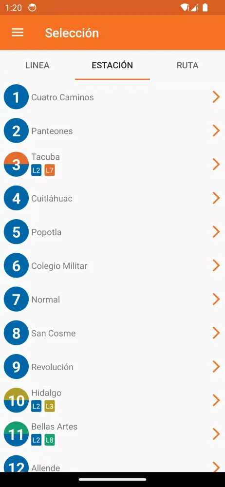 Screenshot di Metro, Tren Ligero, Suburbano.