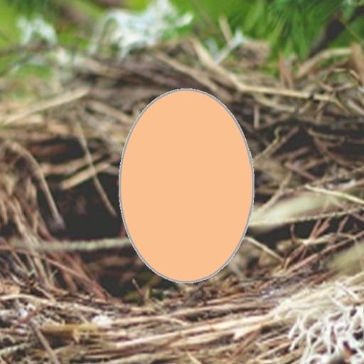Break Egg