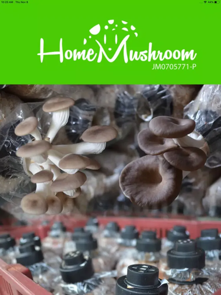 Home Mushroom iPad  Screenshots