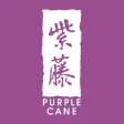Purple Cane Purple Cane
