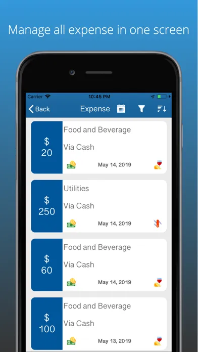 Screenshot di Expense & Income Money Manager