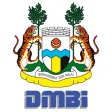 DMBI