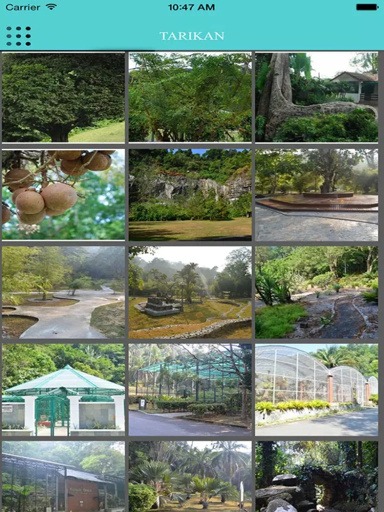 ภาพหน้าจอของ PgGOV PBG iPad 