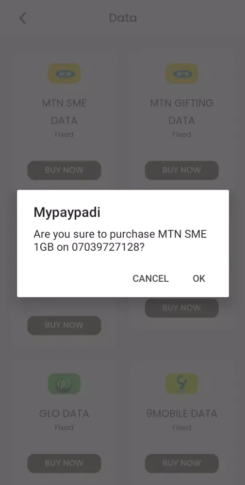 تصاویر MyPaypadi VTU