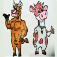 Cow Bull