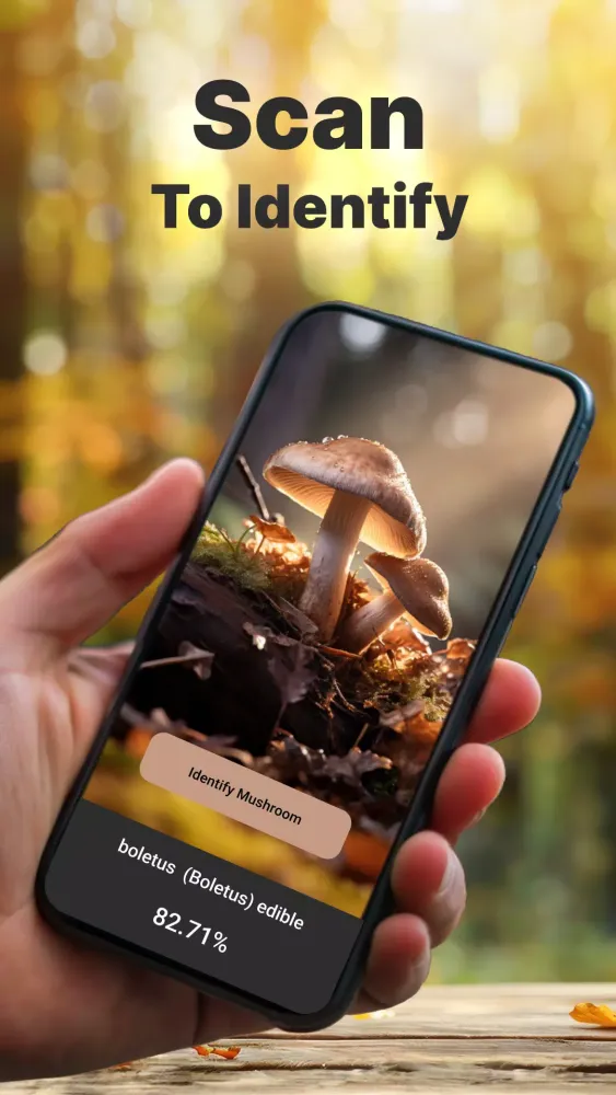 Mushroom Identification应用截图