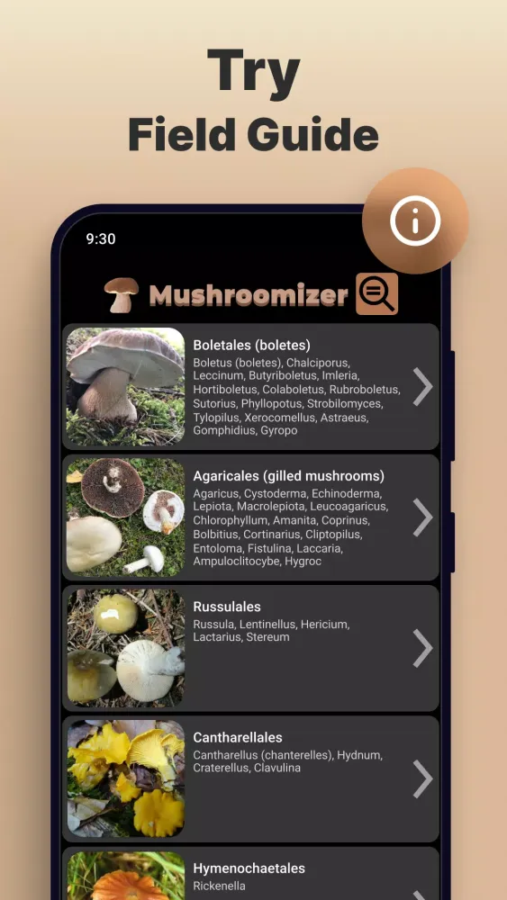 Mushroom Identification应用截图