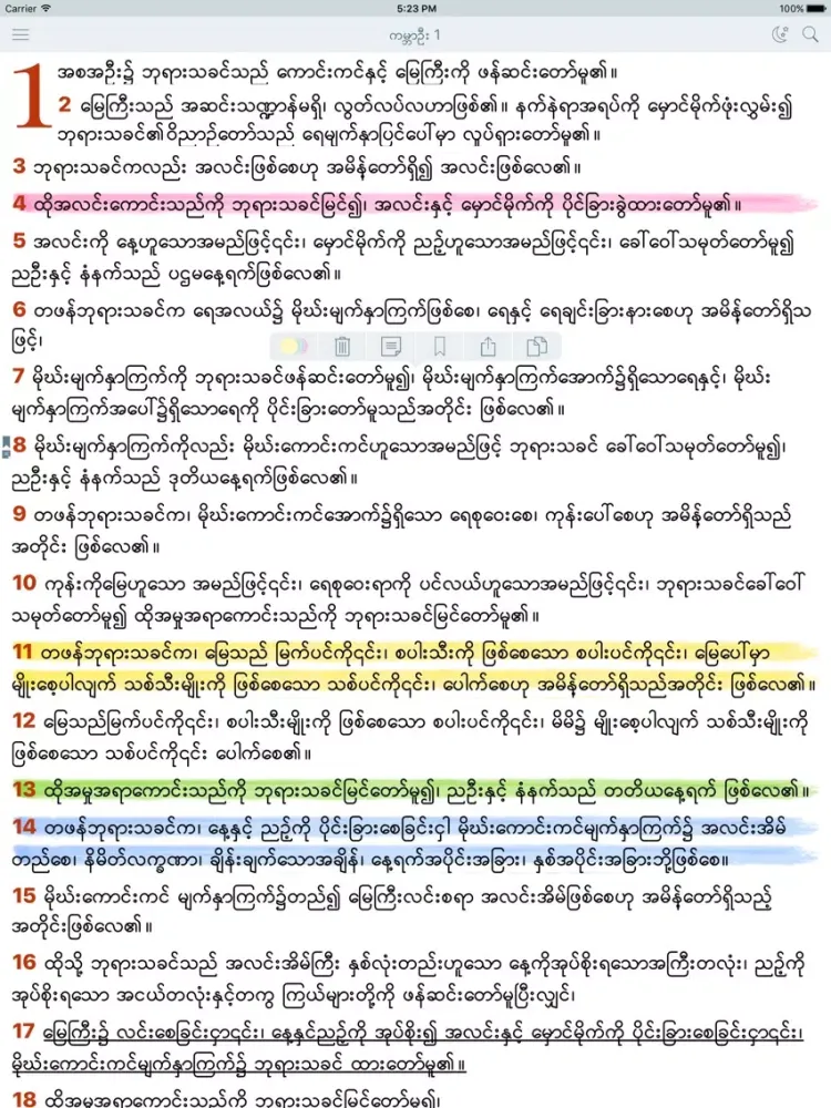 Myanmar Holy Bible Offline iPad  スクリーンショット