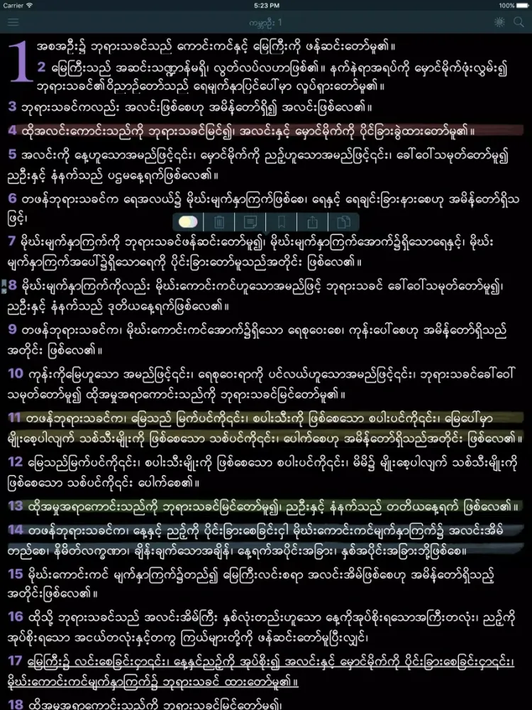 Myanmar Holy Bible Offline iPad  スクリーンショット