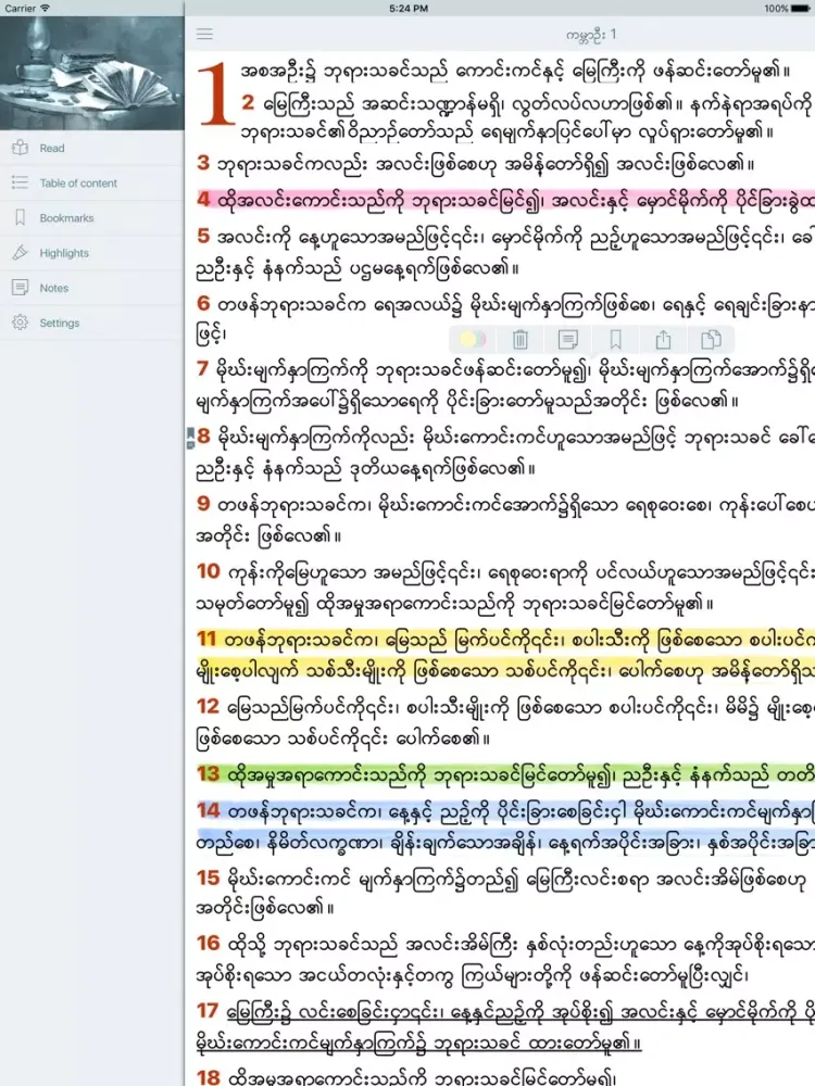 Myanmar Holy Bible Offline iPad  スクリーンショット
