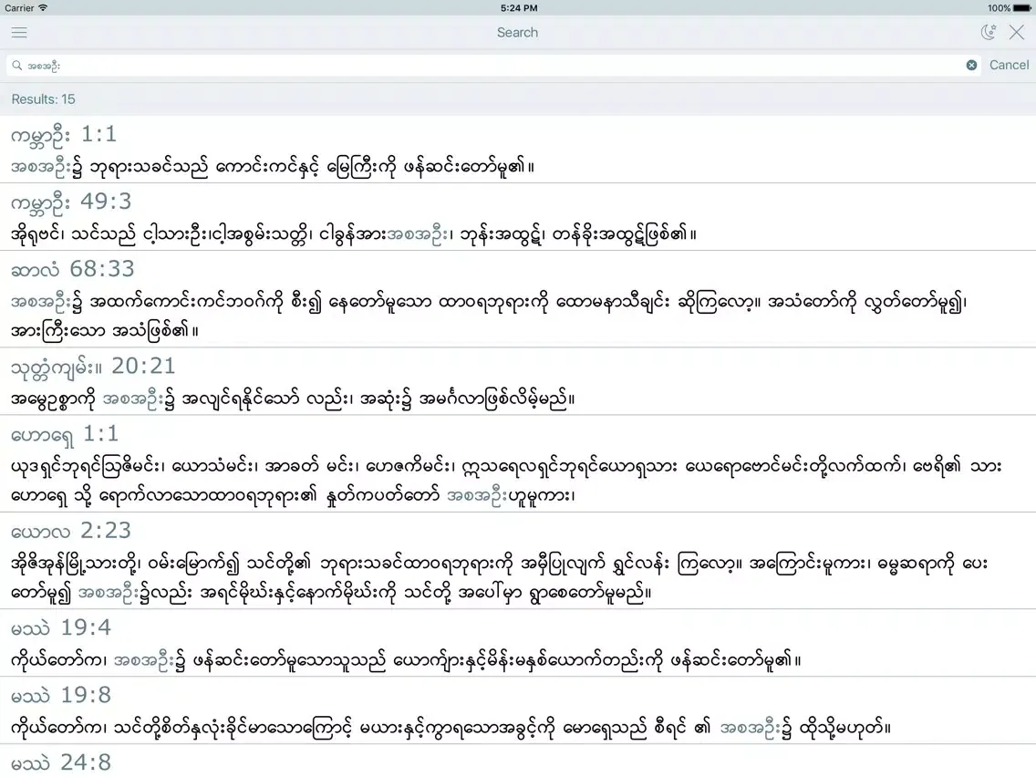 Myanmar Holy Bible Offline iPad  スクリーンショット