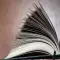 Libro delle Risposte