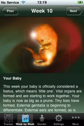 Baby Pregnancy Tracker (Lite) Screenshots