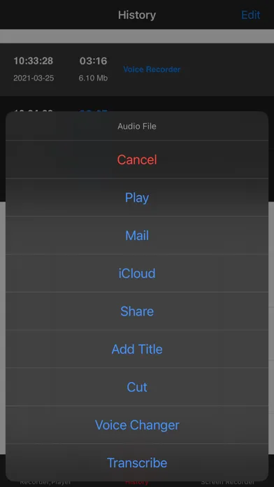 Screenshot di Voice Recorder, Voice Memos